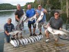 (07/14/2017) - Nice Striped Bass